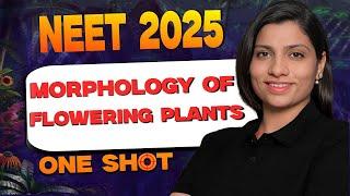 NEET 2025 | Morphology Of Flowering Plants One Short | NEET Biology Revision | Ritu Rattewal Ma'am