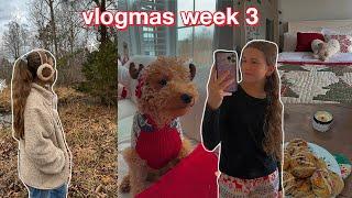 FAVORITE TIME OF THE YEAR! *VLOGMAS WEEK 3*