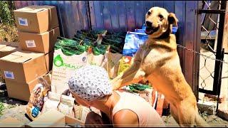 Petshop.ru - Вы НИЧЕГО о них НЕ ЗНАЕТЕ!!! А они ПОМОГАЮТ бездомным животным! Лучший ЗОО магазин!!!