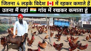 ऐसा शानदार बकरी + देशी मुर्गी फार्म आपने देखा नहीं होगा  | Goat Farm | Desi Poultry Farm