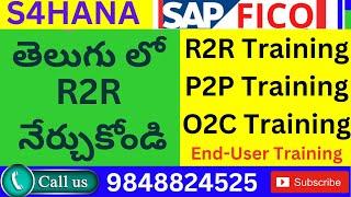 SAP End User Training in Telugu-SAP FICO End User Training in Telugu-SAP FICO In Telugu AMR Infotech