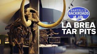 The hidden beasts preserved in LA's La Brea Tar Pits | Bartell's Backroads