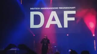 DAF - Liebe auf den Ersten Blick Live in Łódź 25.10.2019 Klub Wytwórnia