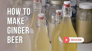 How To Make Ginger Beer | A Delicious Bubbly Probiotic Drink