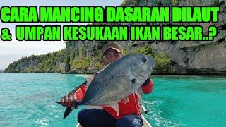 Cara Mancing Dasaran di Laut & Umpan Kesukaan Ikan Besar || HANDLINE FISHING