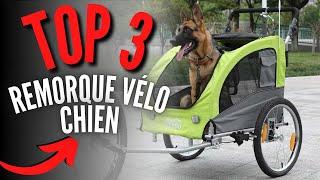 Meilleure Remorque Vélo pour Chien 2024