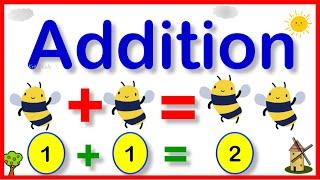 Basic Math Addition For Kids | Learn Addition | Add | Addition for Kids | Premath Concept | #add