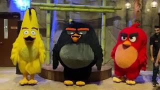Angry Birds Dance Battle with Bomb at Angry Birds World in 4K | Doha Festival City
