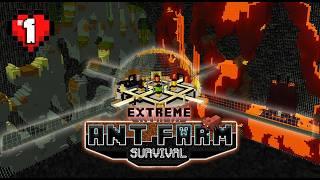 Extreme Ant Farm Survival