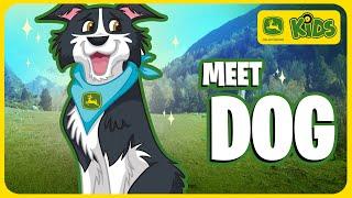 Fun Jobs For Dogs On The Farm!  | John Deere Kids