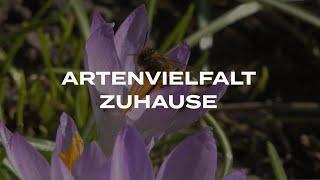 Frühlingsgefühle - Artenvielfalt Zuhause