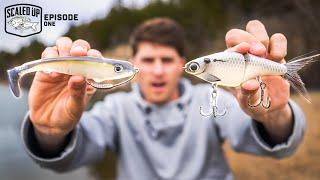 Ich habe zum ERSTEN MAL mit GROSSEN Swimbaits gefischt! („Scaled Up“ Ep. 1)