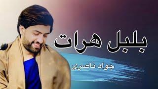 از بلبل هرات بشنوید / Herat best singer Javad Naseri