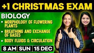 +1 Biology Christmas Exam | Morphology , Breathing And Exchange , Body Fluids | Full Chapters