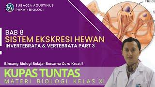 Bab 8 Sistem Ekskresi Pada Hewan : Invertebrata & Vertebrata Part 3