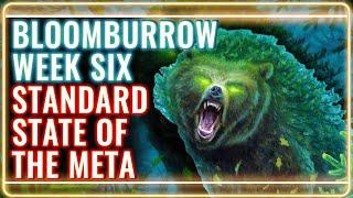 MTG Standard Decks Tier List for Bloomburrow Week 6 | MTG Rebellion