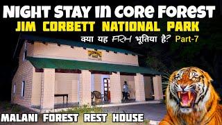 Jim Corbett | Night Stay in Core Forest | Malani forest Rest House | Bijrani Zone #Uttrakhand #tiger