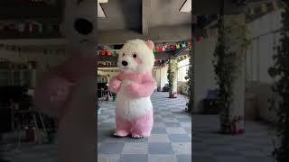 Cute Inflatable Pink Panda Mascot Costume Birthday Party Fancy Cosplay