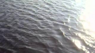 Pike Fly fishing POV