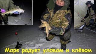 СУМАШЕДШИЙ ВЕЧЕРНИЙ КЛЁВ НА БАРЕНЦЕВОМ МОРЕ / CRAZY FISHING AT SEA