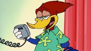 Woody Woodpecker | Woody Flies First Class + More Full Episodes