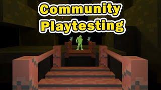 Community Playtesting - Puzzle Dungeon Crawler