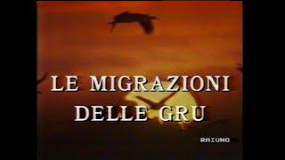 Il mondo di Quark: Le migrazioni delle gru (14.04.1993)