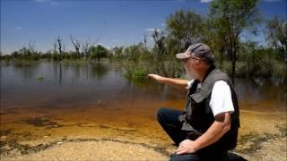 Floods and Ants - Cadell, South Australia