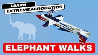 How to 3D like a pro: Elephant Walks (stick camera)