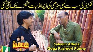 The longest wooden ladder | Saleem Albela Goga Pasroori Funny Video