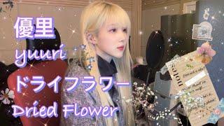 優里 -ドライフラワー yuuri dried flower 유우리 드라이플라워 cover by 모리MORI