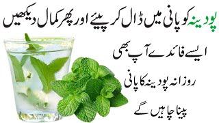 Pudina Ke Pani Ke Fayde || Benefits Of Mint Water || Pudina Ka Pani Kaise Banaen || Pudina Sharbat