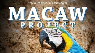 The Macaw Project | Documentary