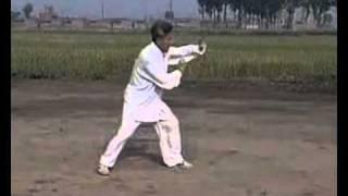 Four Hammers Song Xingyi