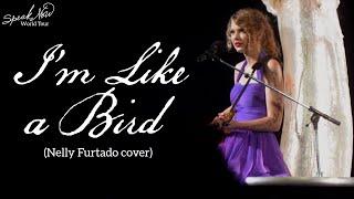 Taylor Swift - I'm Like a Bird (Cover) (Live on the Speak Now World Tour)