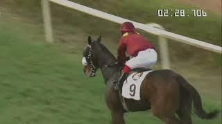 RANQUELINO wins The HPSL Indian Derby (Gr.1)