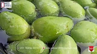 World best Indian Mango || Mango Export Packing Process || Farm Fresh & Natural Farming || NIKOSI ️