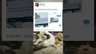 Random Post #trendingshorts #memesworldofficial #viralvideos