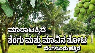 53 GUNTE COCONUT AND MANGO TREES FARM LAND SALE IN RAMANAGARA, NEAR BENGALURU, CHARAN 7338474634.