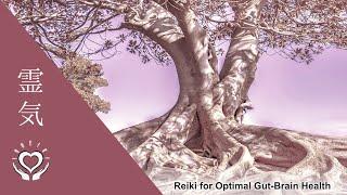 Reiki for Optimal Gut Brain Health | Energy Healing for the Gut-Brain Axis