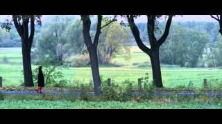 Madsen - Love Is a Killer (Videoclip) ft. Walter Schrefels