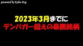 2023年3月までにテンバガー以上の株価暴騰する可能性がある銘柄