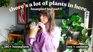 Full Houseplant Tour 2024  280+ plants in my small house! (PART 1)