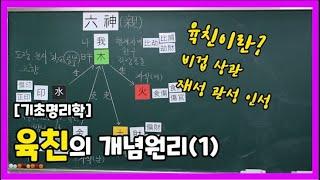 14강 육친의 형성과정