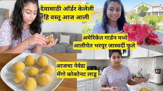 अमेरिकेत आलीयेत भरपूर जास्वदीं | ऑर्डर केली हि देवासाठी वस्तू | mango coconut laddu | मराठी vlogs