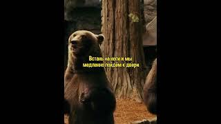В следующий раз этот г#внюк станет обедом  #shorts #моменты #топ  #video #шортс #тренды #комедия