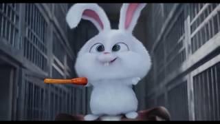 The Secret Life of Pets - Revolution Long (Clip)