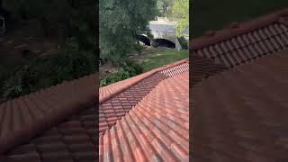Roof Transformation | Solar Source