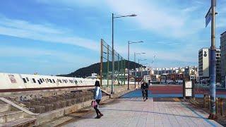 Walk on Tapdong in Jeju 제주 탑동 걷기