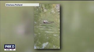Lakeland mom steps in after 'crazy river otter' attacks dog, girl